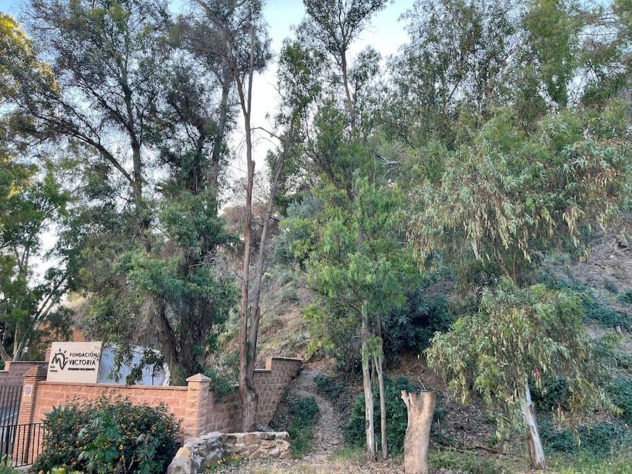 Apartamento Amar-Cura Málaga Kültér fotó